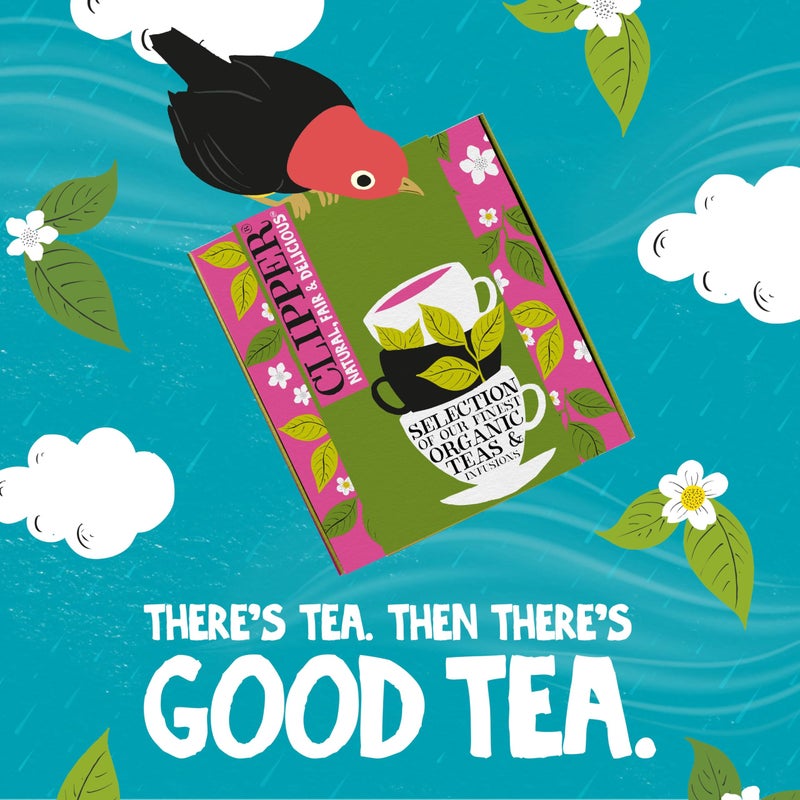 Clipper Tea: Organic Herbal & Green Tea Set, Gift Box - Tea Selection & Sampler with 5 Flavors Including Lemon, Ginger, and Bedtime Teas - Assorted Tea Bags in Colorful Tea Box, 45 Unbleached Tea Bags - Image 5